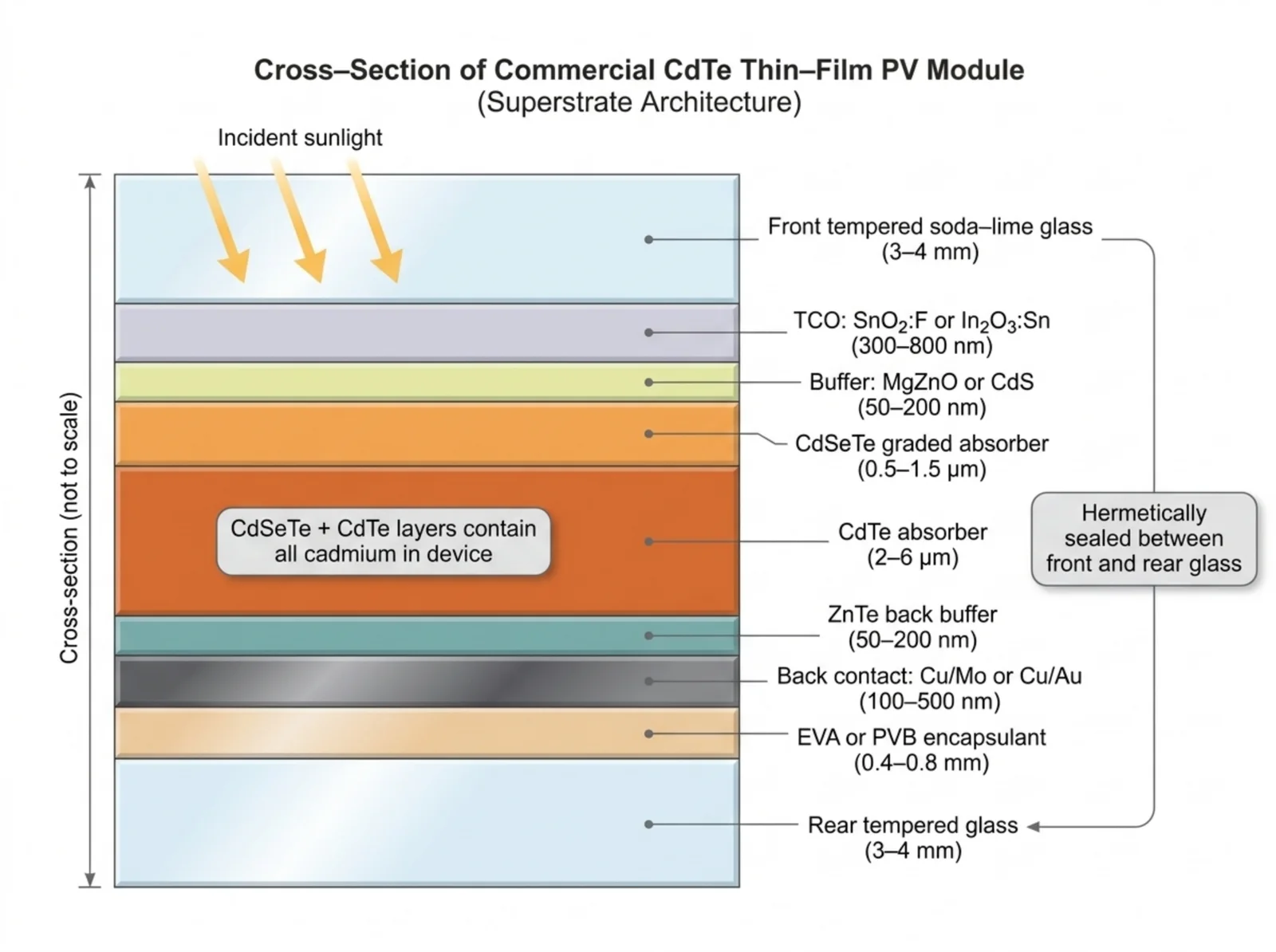 Cross-section of a commercial CdTe module: micrometer-scale CdTe layer hermetically sealed between front and rear tempered glass